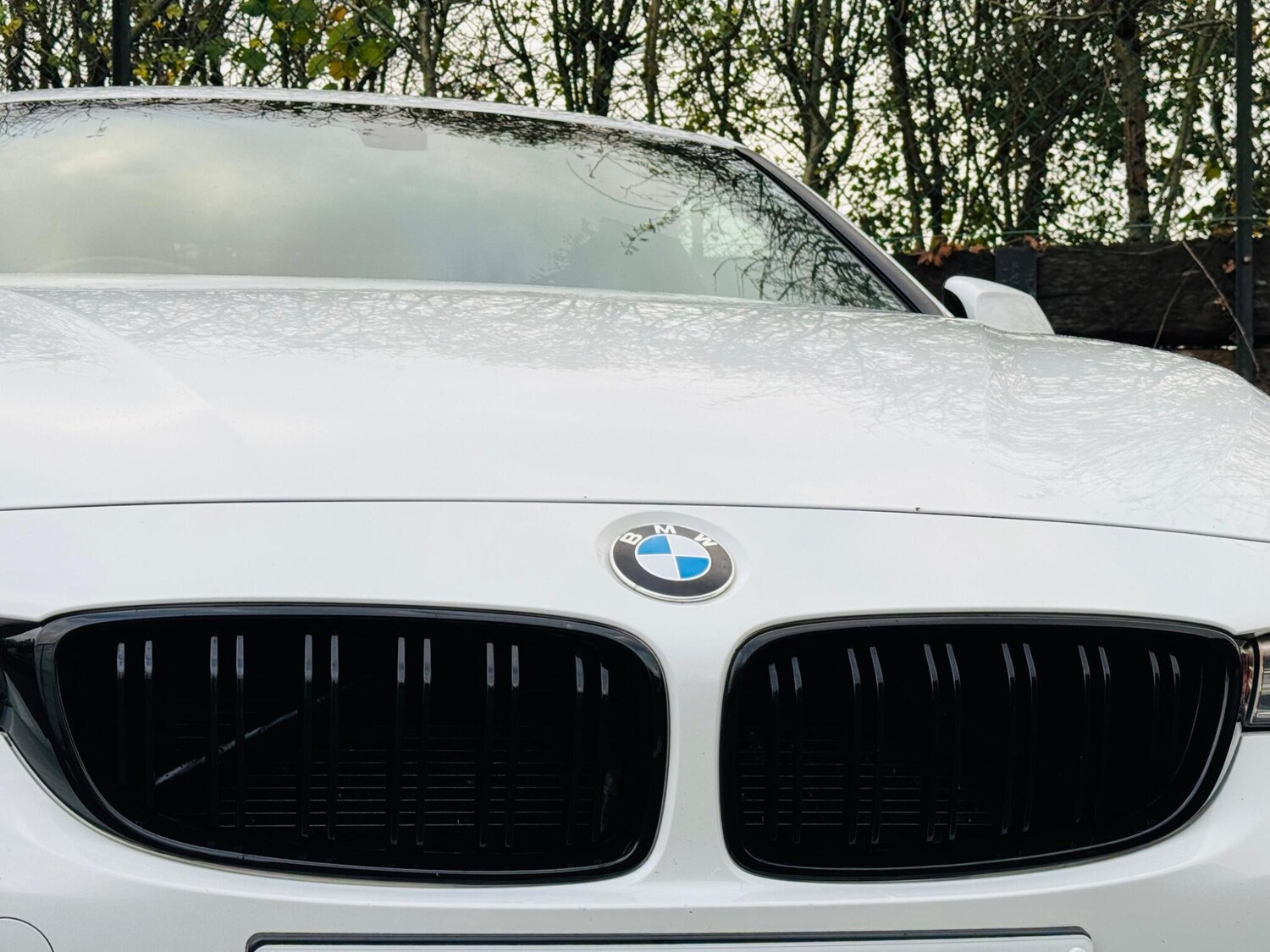 Used BMW 4 Series 2014 for sale - 76691141: Photo 14