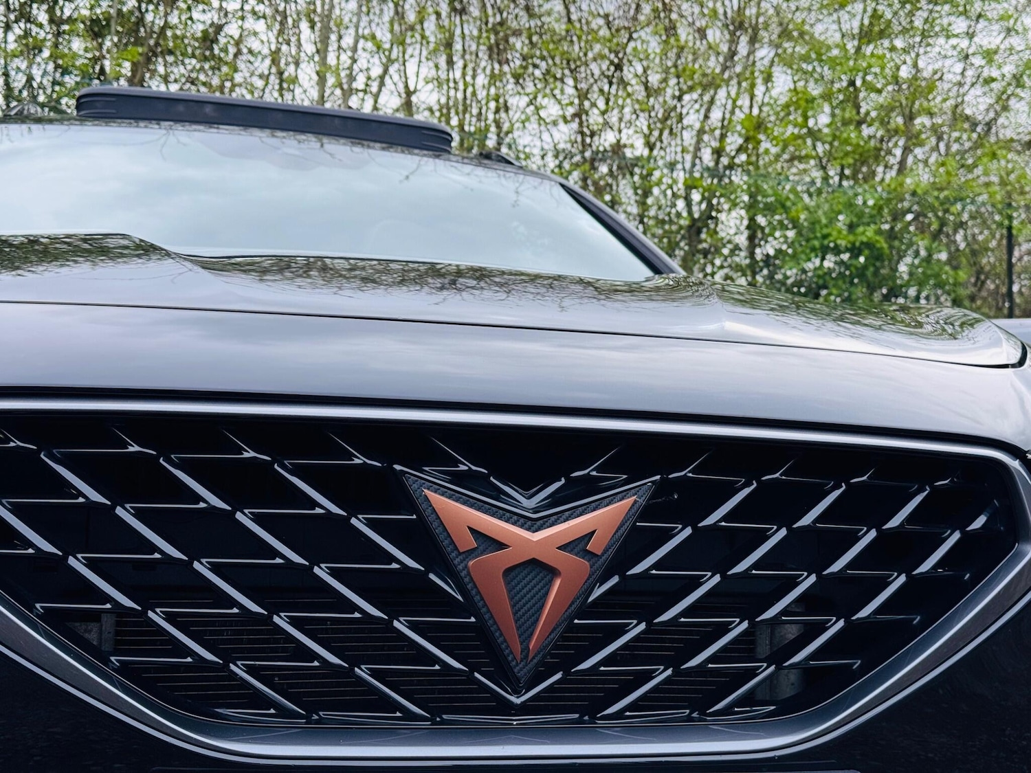 Used Cupra Formentor 2023 for sale - 77882367: Photo 17