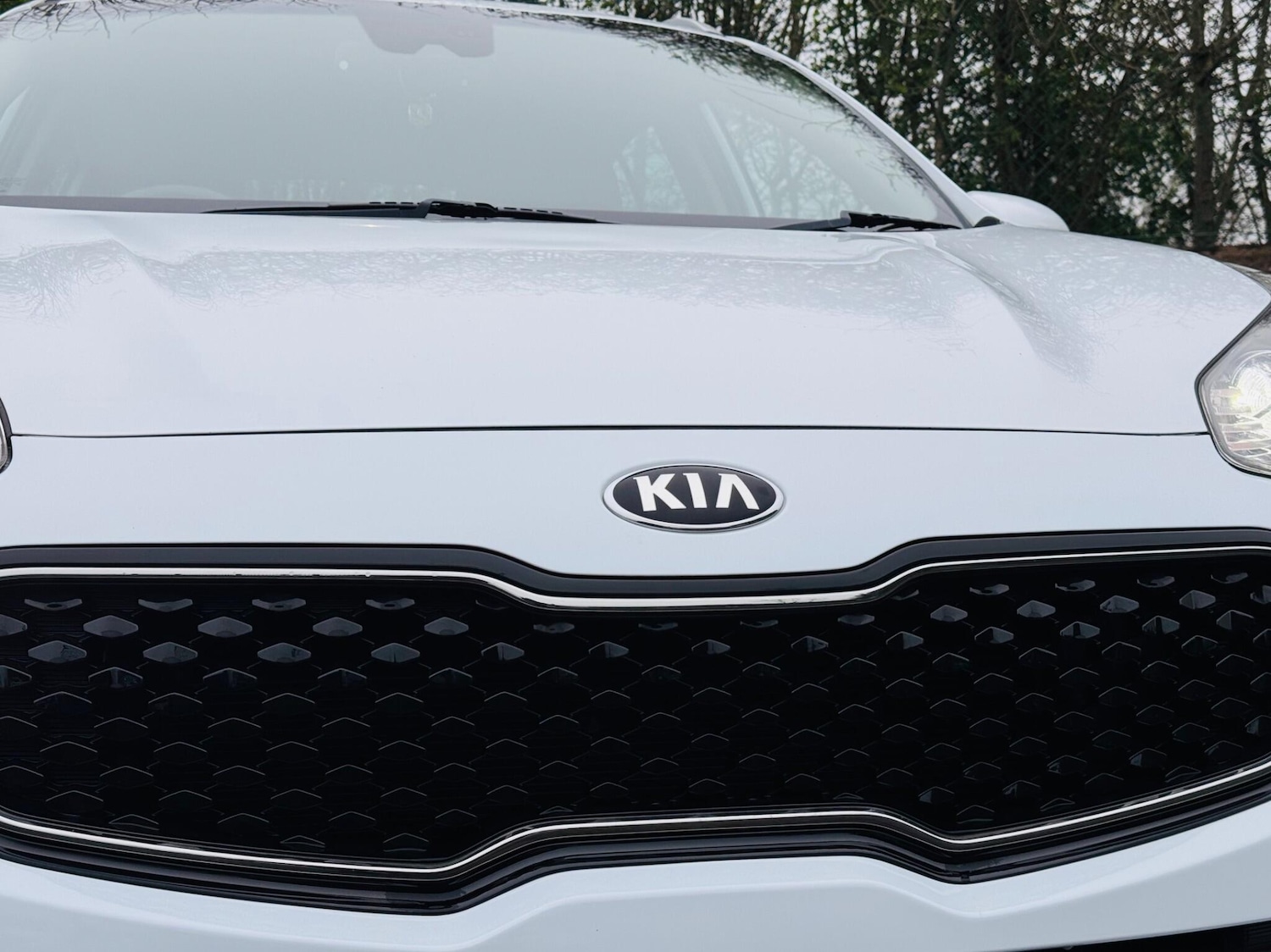 Used Kia Sportage for sale - 77882652: Photo 14