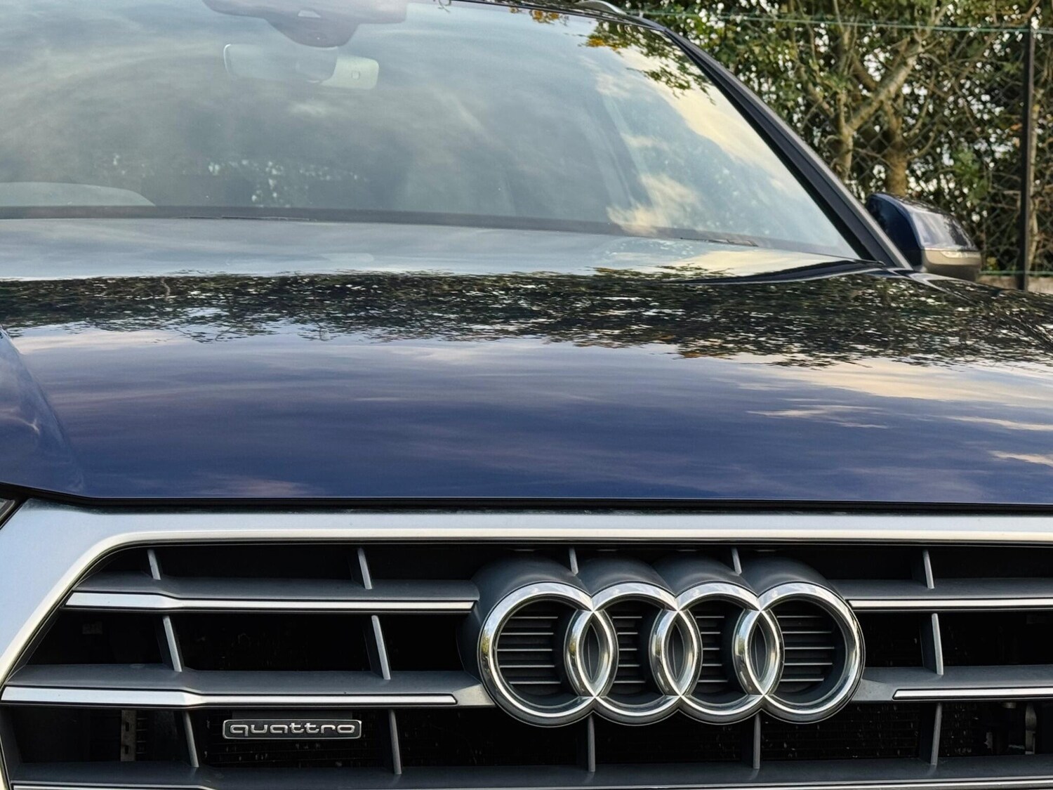 Used Audi Q5 2019 for sale - 76691147: Photo 14