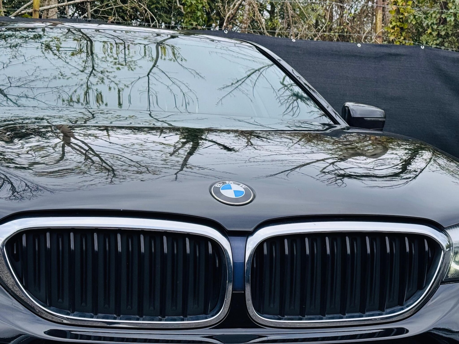 Used BMW 5 Series for sale - 78136097: Photo 17