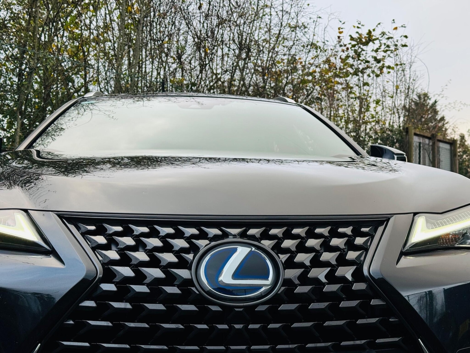 Used Lexus UX 2020 for sale - 76735474: Photo 14