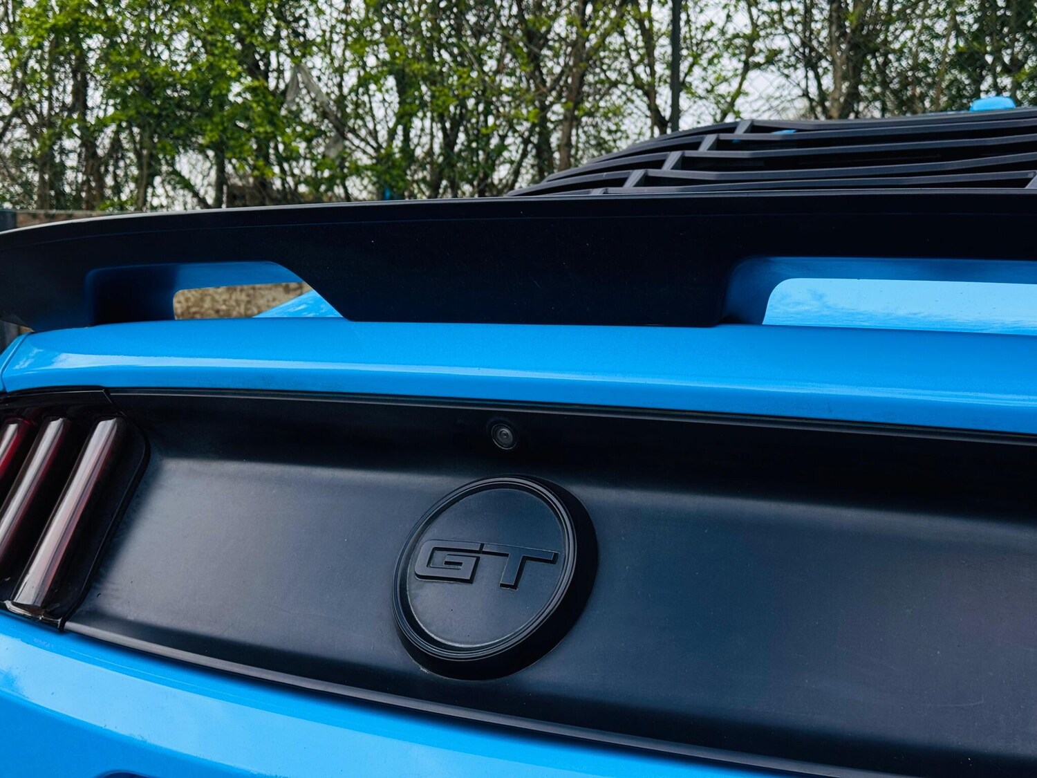 Used Ford Mustang for sale - 77882924: Photo 15