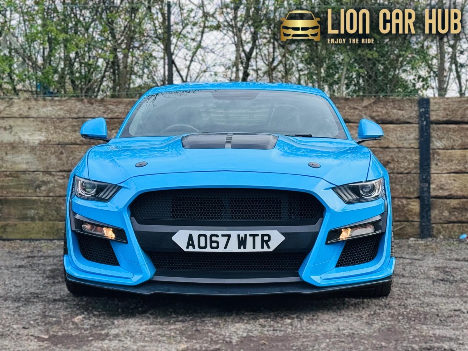 Used Ford Mustang for sale - 77882924: Photo 55