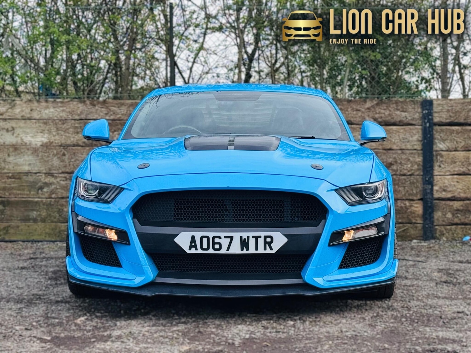 Used Ford Mustang for sale - 77882924: Photo 6