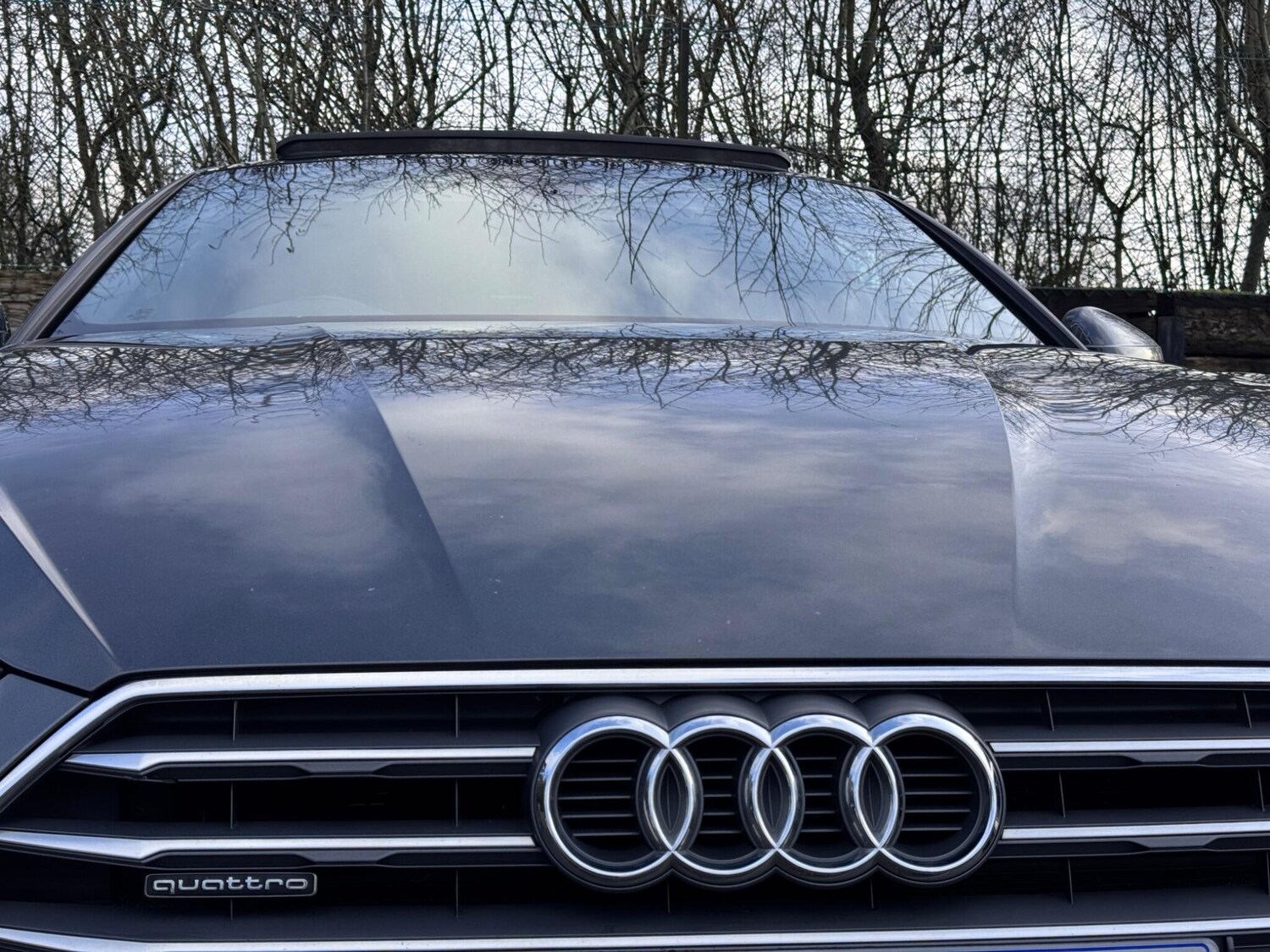 Used Audi A5 2017 for sale - 77510820: Photo 15