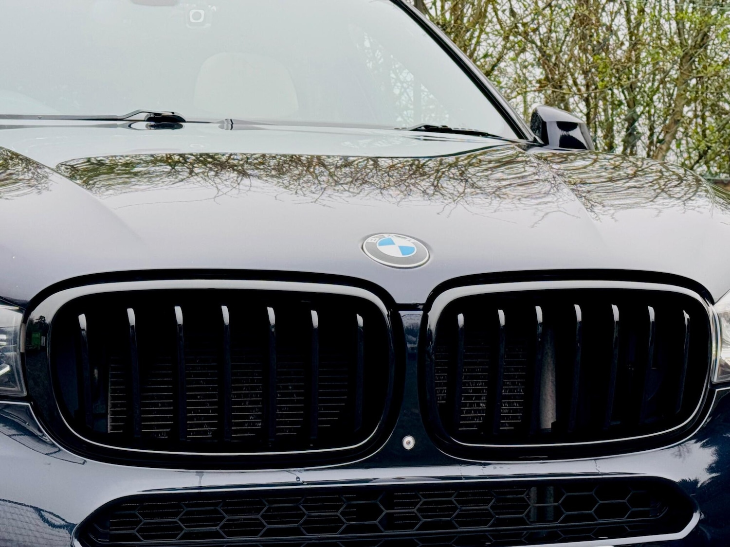 Used BMW X5 2015 for sale - 77882979: Photo 16