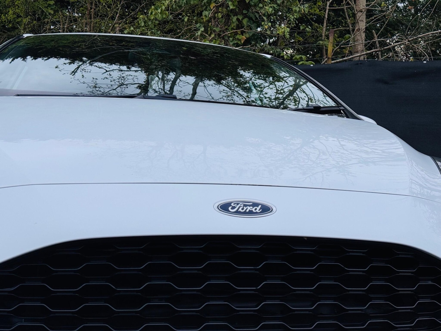 Used Ford Fiesta 2018 for sale - 78204129: Photo 13