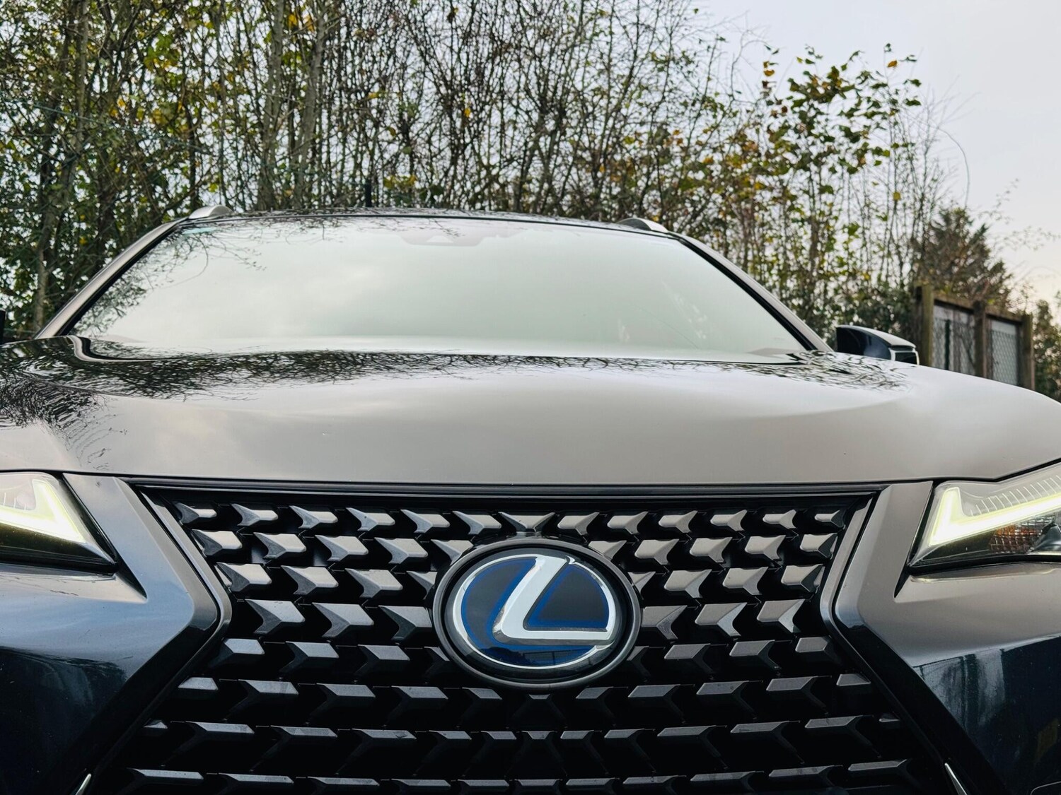 Used Lexus UX 2020 for sale - 76691149: Photo 14