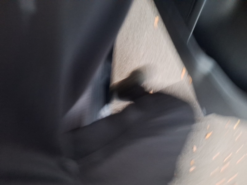 Used MG MG ZS 2020 for sale - 76816241: Photo 11