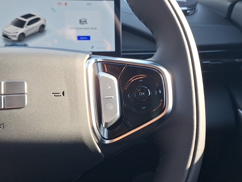 Used Geely Starray 2026 for sale - 78032971: Photo 19