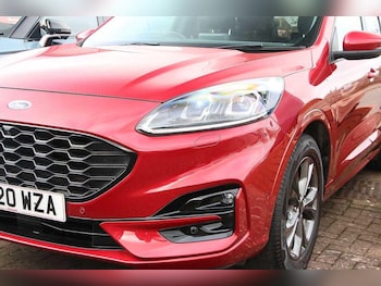 Used Ford Kuga 2020 for sale - 77957581: Photo