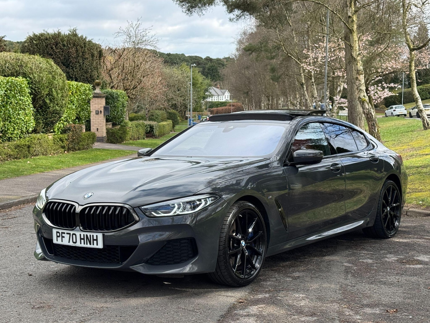 Used BMW 8 Series Gran Coupe for sale - 78086211: Photo 29