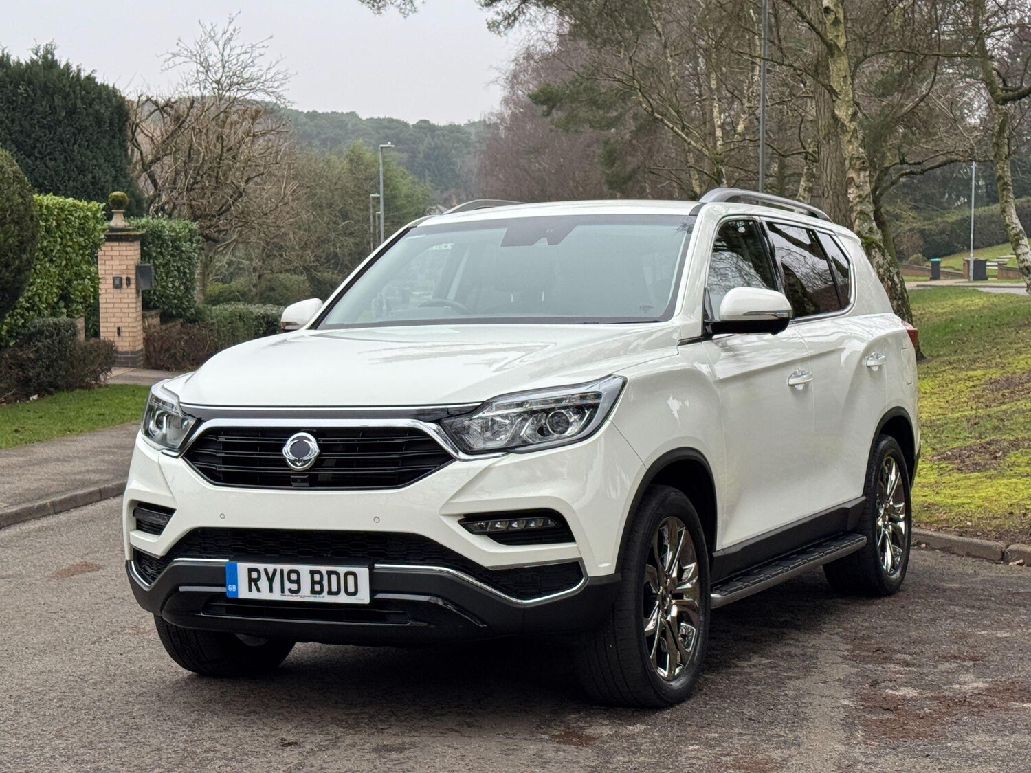 Used Ssangyong Rexton 2019 for sale - 77440299: Photo 17