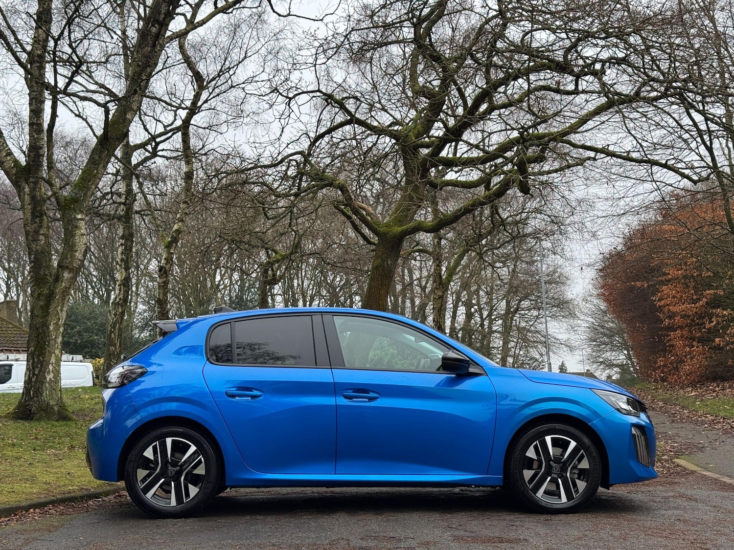 Used Peugeot 208 for sale - 77175733: Photo 3