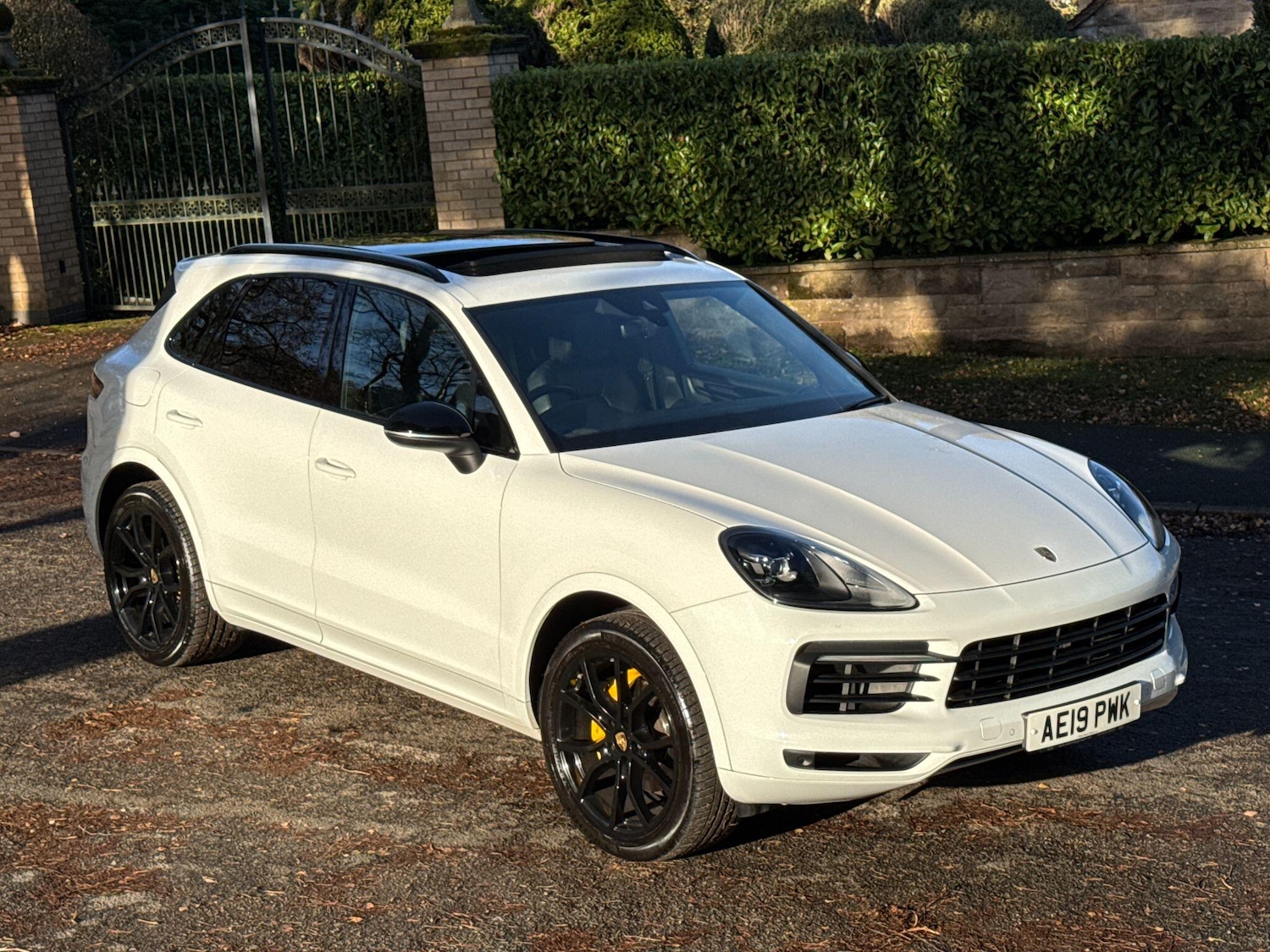 Used Porsche Cayenne 2019 for sale - 76727689: Photo 10