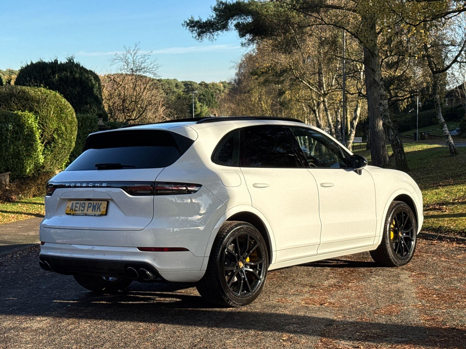 Used Porsche Cayenne 2019 for sale - 76727689: Photo 17