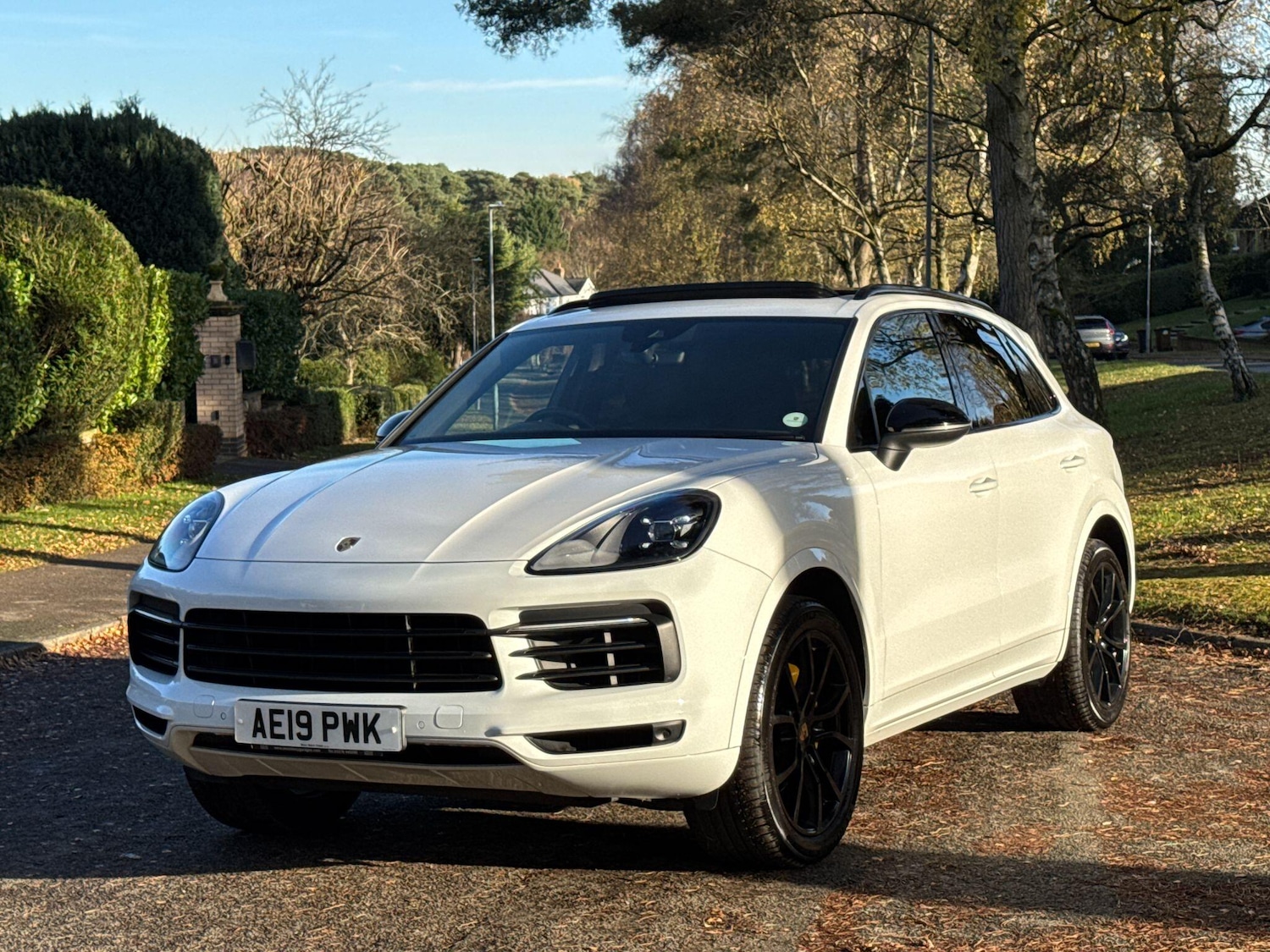 Used Porsche Cayenne 2019 for sale - 76727689: Photo 19