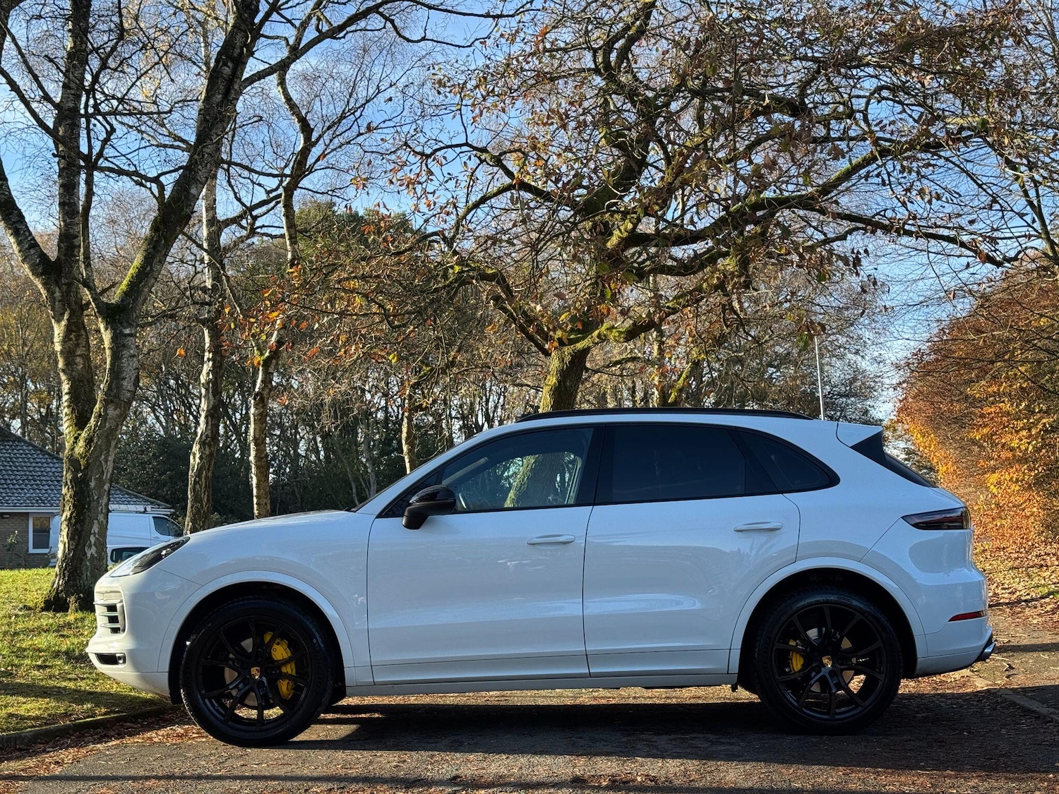 Used Porsche Cayenne 2019 for sale - 76727689: Photo 3