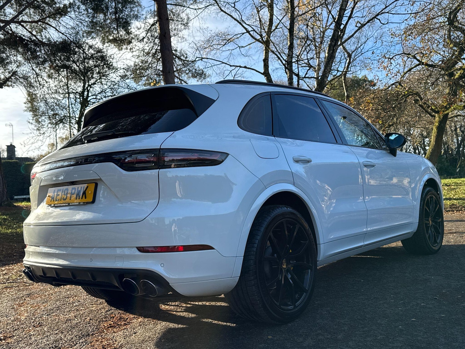 Used Porsche Cayenne 2019 for sale - 76727689: Photo 47