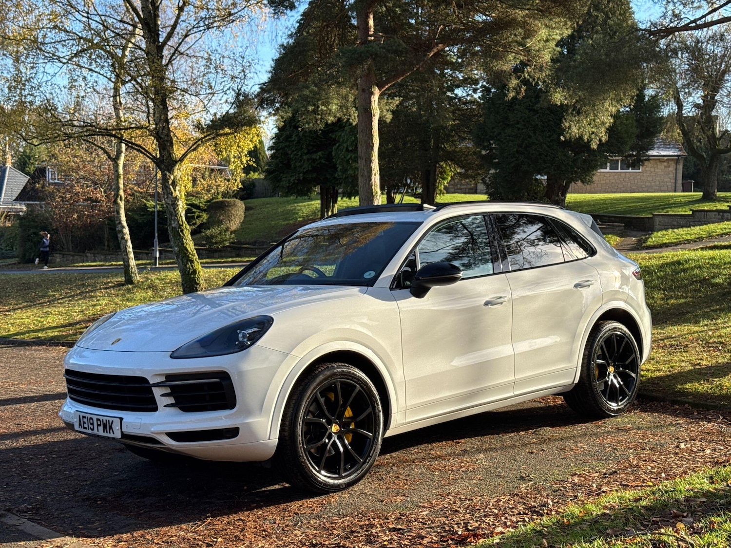 Used Porsche Cayenne 2019 for sale - 76727689: Photo 88