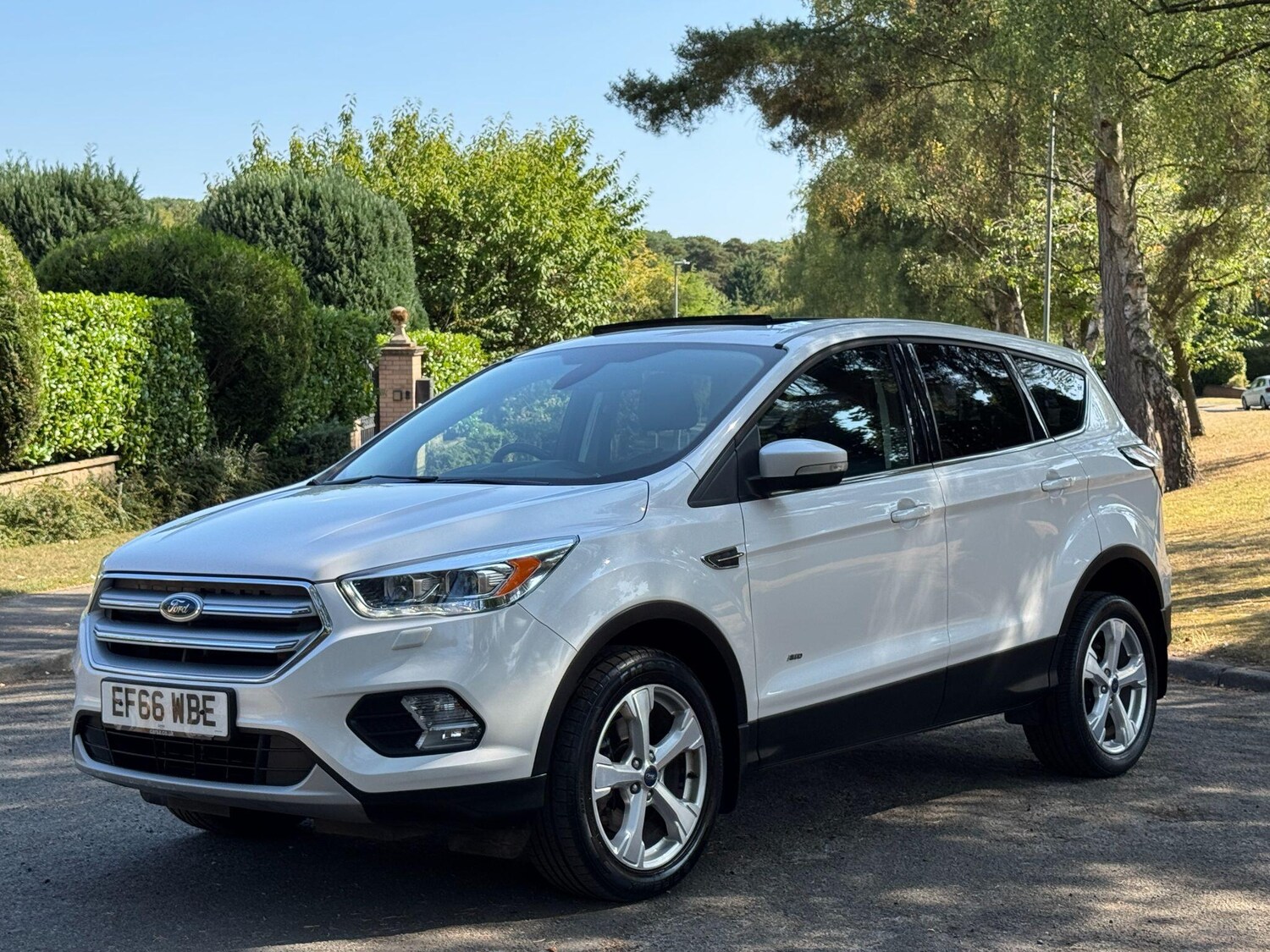 Vehicle 29