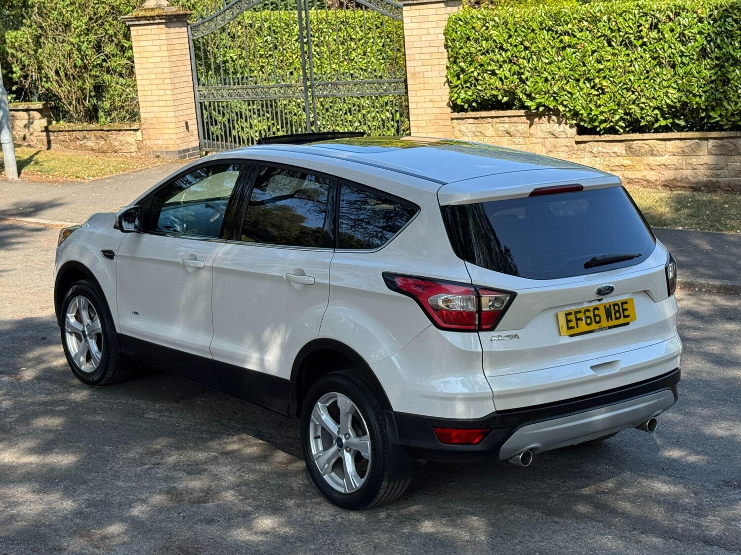 Vehicle 31