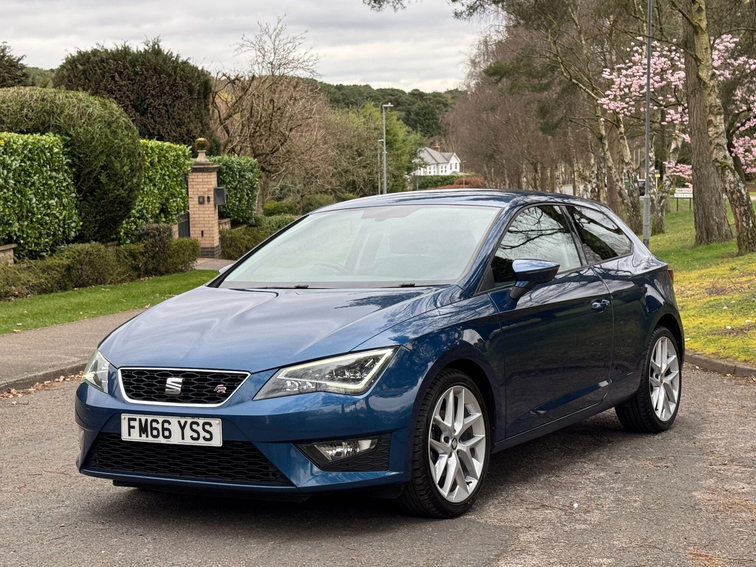 Used SEAT Leon 2017 for sale - 78007848: Photo 16