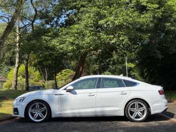 Used Audi A5 2019 for sale - 74895094: Photo