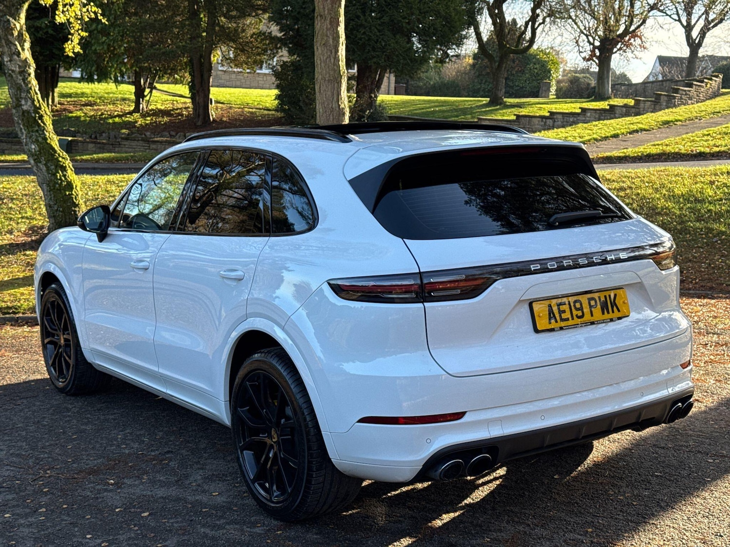 Used Porsche Cayenne 2019 for sale - 77351665: Photo 42