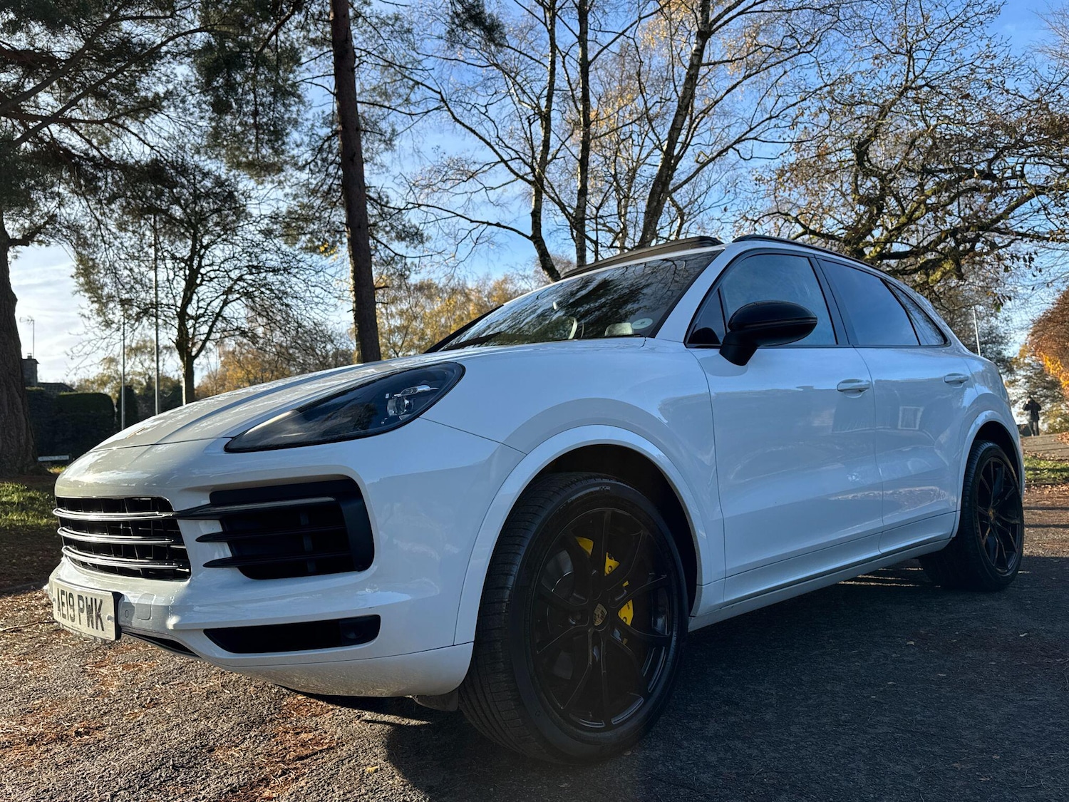 Used Porsche Cayenne 2019 for sale - 77351665: Photo 46