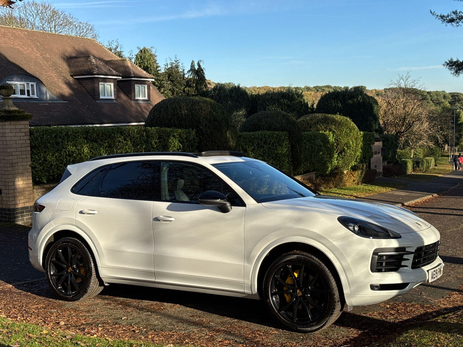 Used Porsche Cayenne 2019 for sale - 77351665: Photo 58