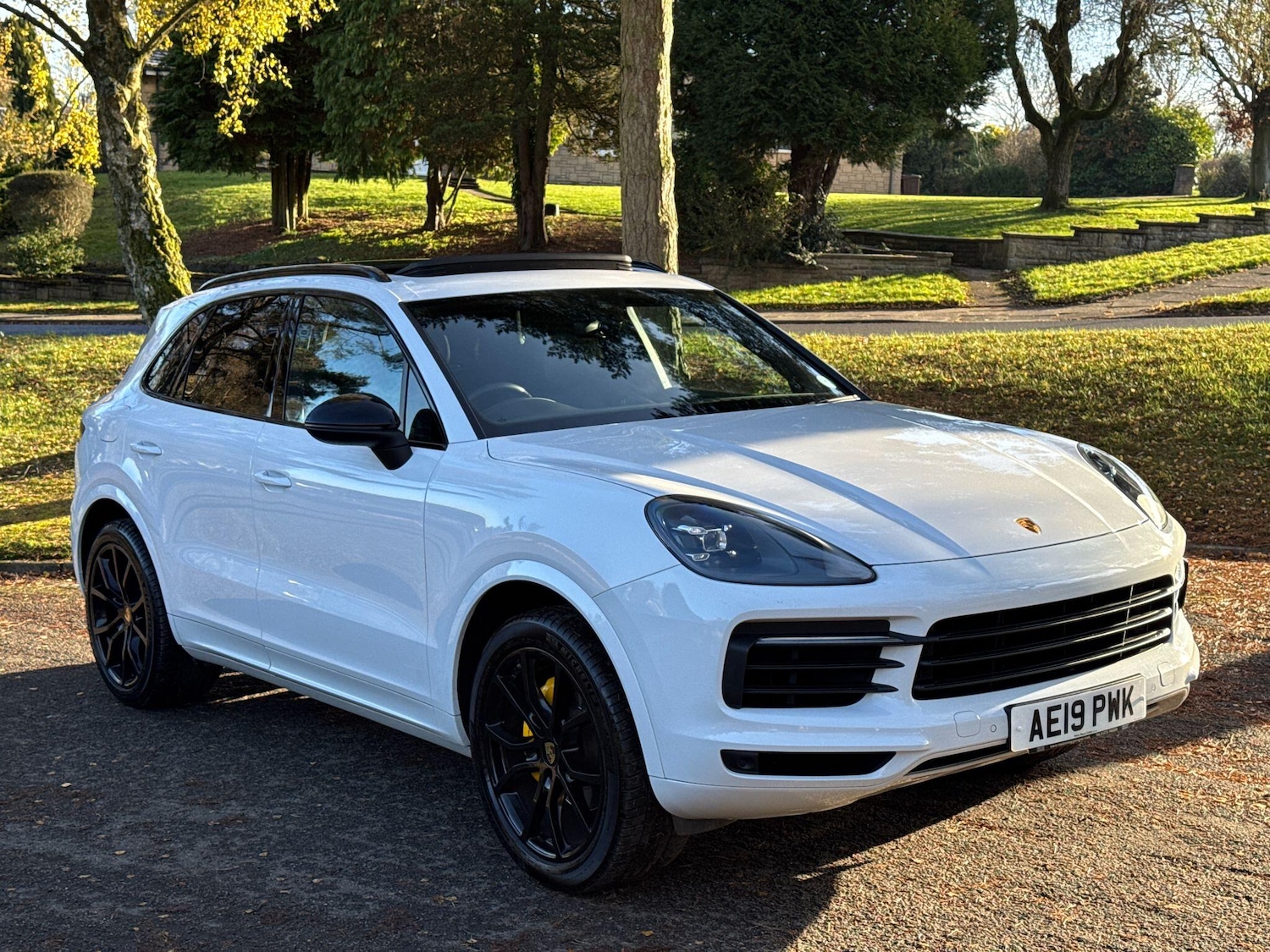 Used Porsche Cayenne 2019 for sale - 77351665: Photo 72