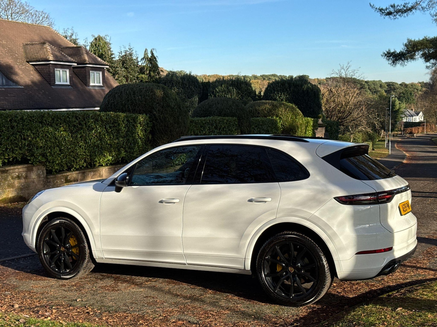 Used Porsche Cayenne 2019 for sale - 77351665: Photo 74