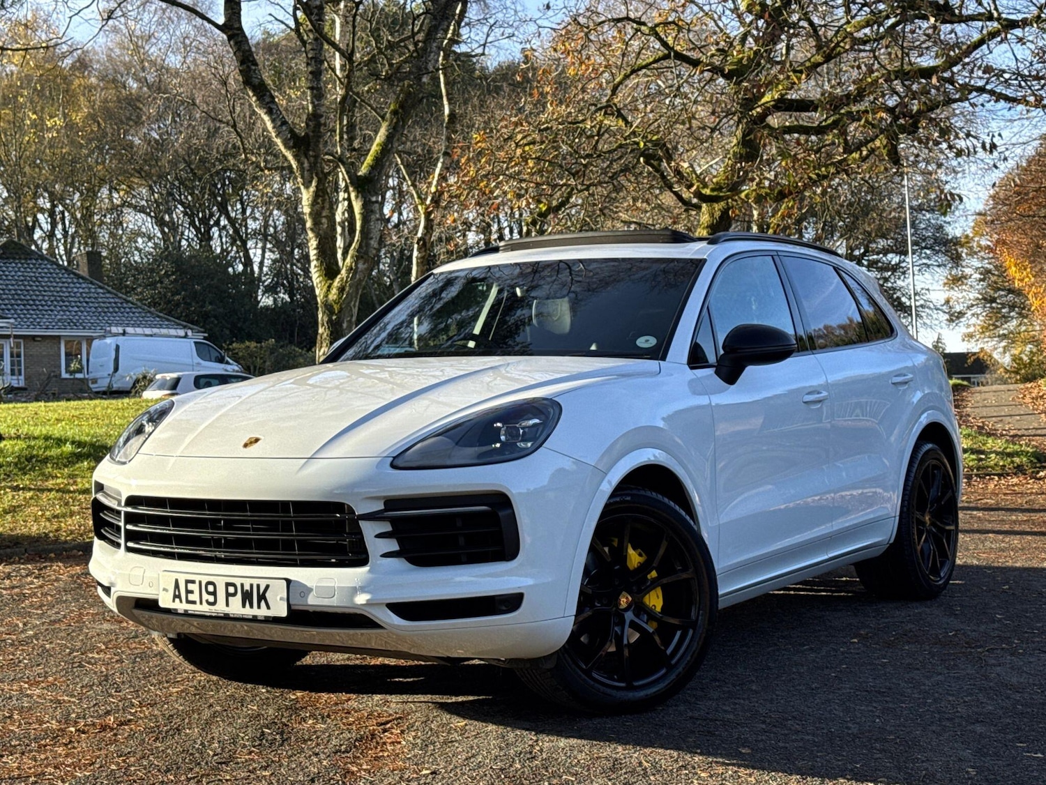 Used Porsche Cayenne 2019 for sale - 77351665: Photo 77