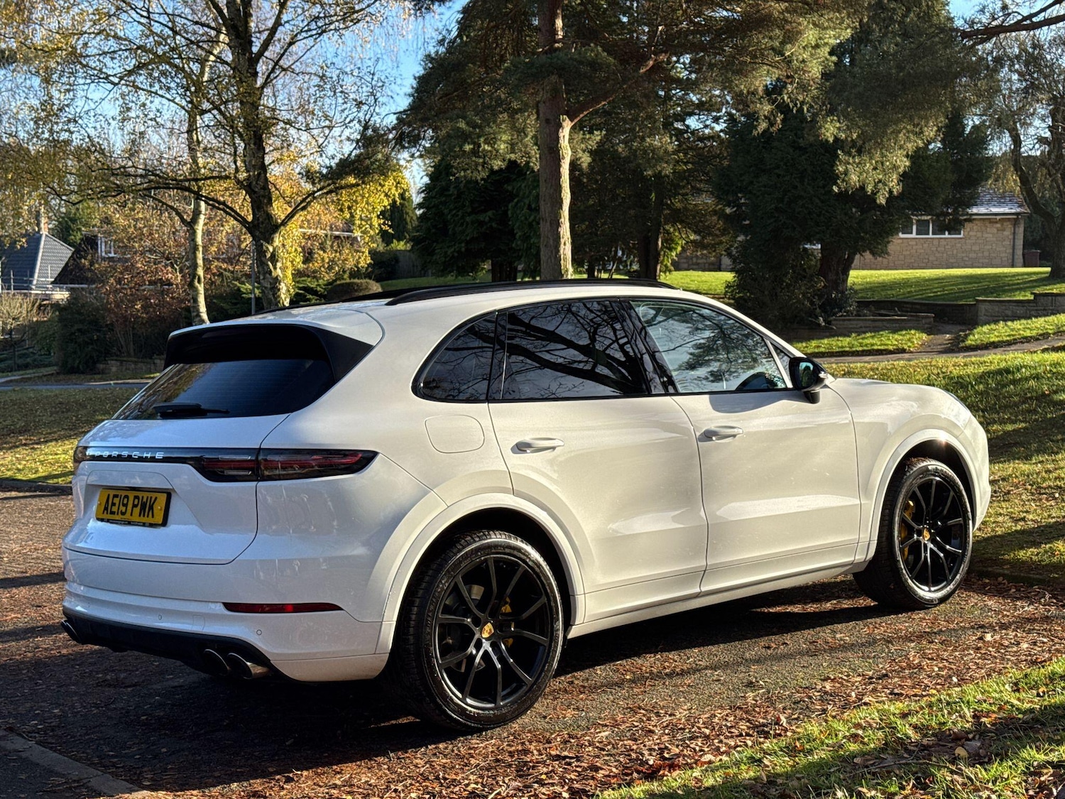 Used Porsche Cayenne 2019 for sale - 77351665: Photo 81