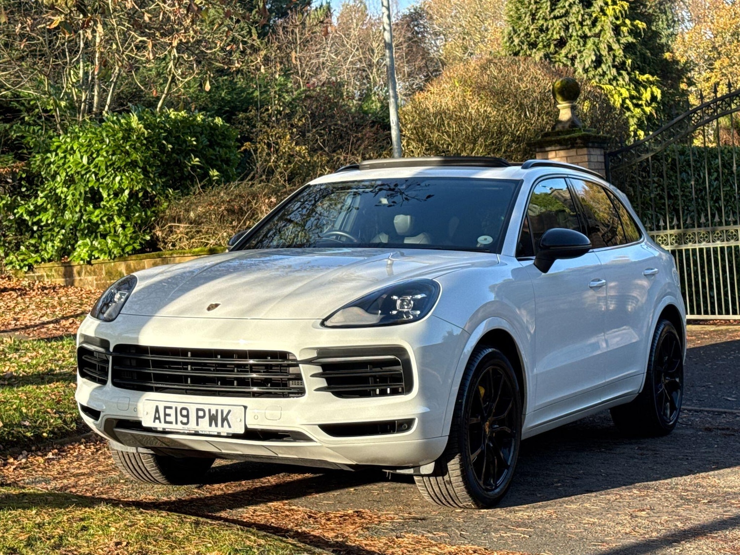 Used Porsche Cayenne 2019 for sale - 77351665: Photo 85
