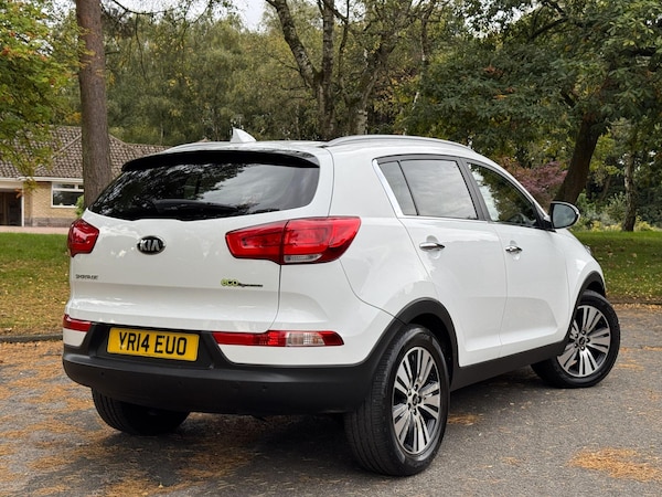 Used Kia Sportage 2014 for sale - 76214599: Photo 2