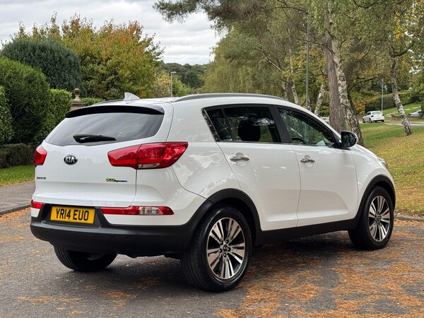 Used Kia Sportage 2014 for sale - 76214599: Photo 31