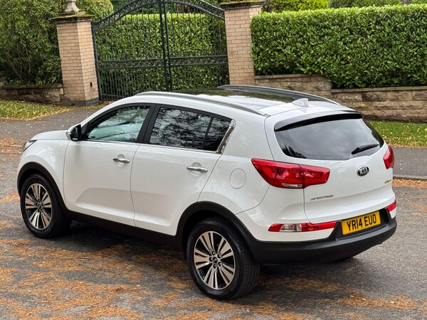 Used Kia Sportage 2014 for sale - 76214599: Photo 35