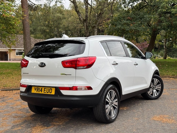 Used Kia Sportage 2014 for sale - 76214599: Photo 40