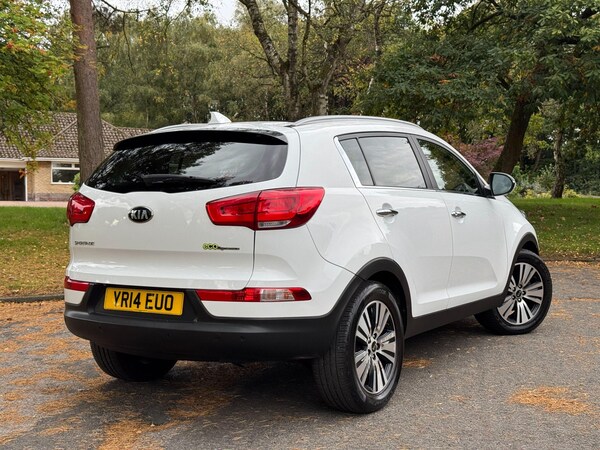Used Kia Sportage 2014 for sale - 76214599: Photo 56