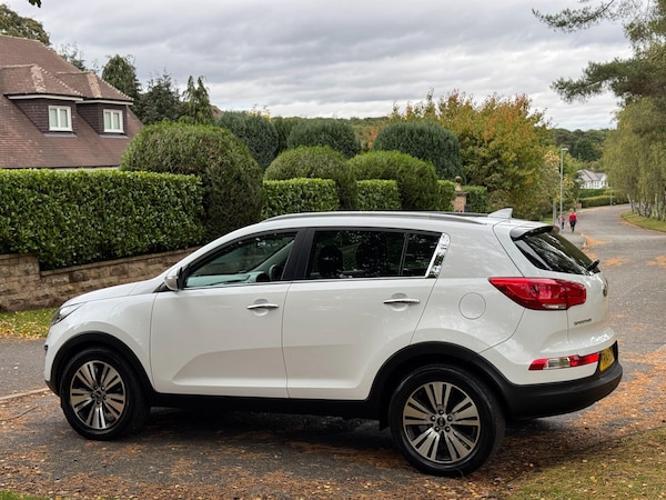 Used Kia Sportage 2014 for sale - 76214599: Photo 58