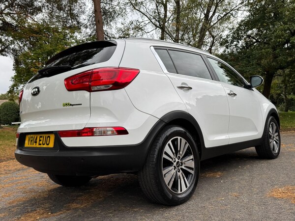 Used Kia Sportage 2014 for sale - 76214599: Photo 60