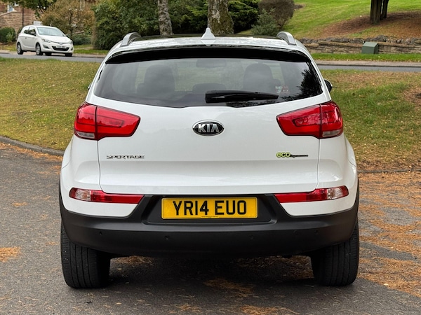 Used Kia Sportage 2014 for sale - 76214599: Photo 62