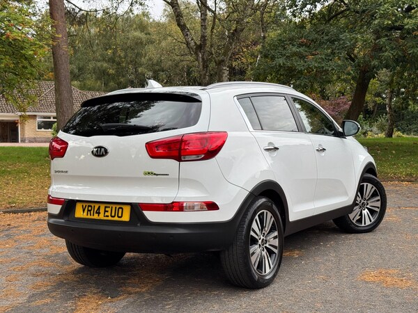 Used Kia Sportage 2014 for sale - 76214599: Photo 67