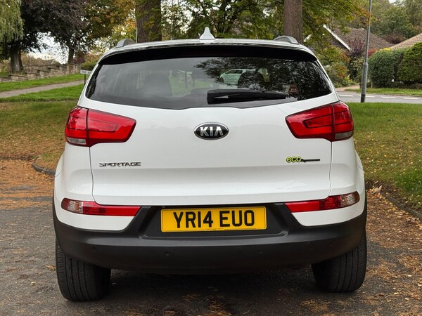 Used Kia Sportage 2014 for sale - 76214599: Photo 69