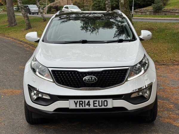 Used Kia Sportage 2014 for sale - 76214599: Photo 72