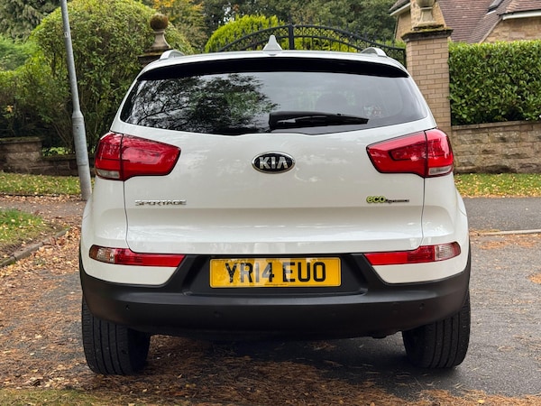 Used Kia Sportage 2014 for sale - 76214599: Photo 73