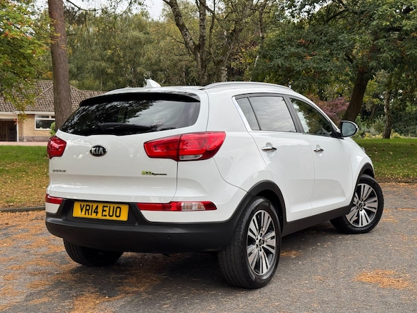 Used Kia Sportage 2014 for sale - 76214599: Photo 77